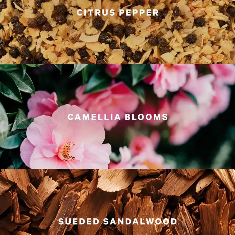 Victoria’s Secret Camellia Sunset Colonia