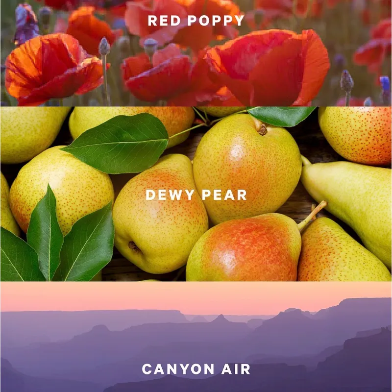 Victoria’s Secret Canyon Blooms Lotion