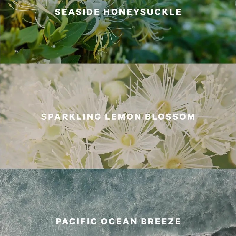 Victoria’s Secret Coastal Blooms Colonia