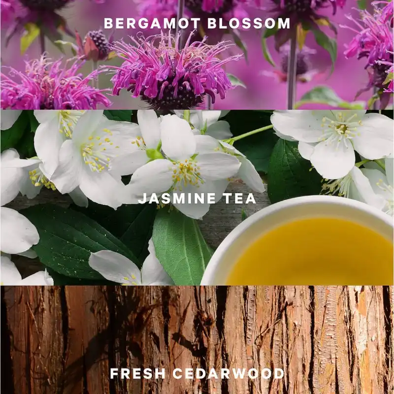 Victoria’s Secret Jazmine Tea Sunrise Colonia