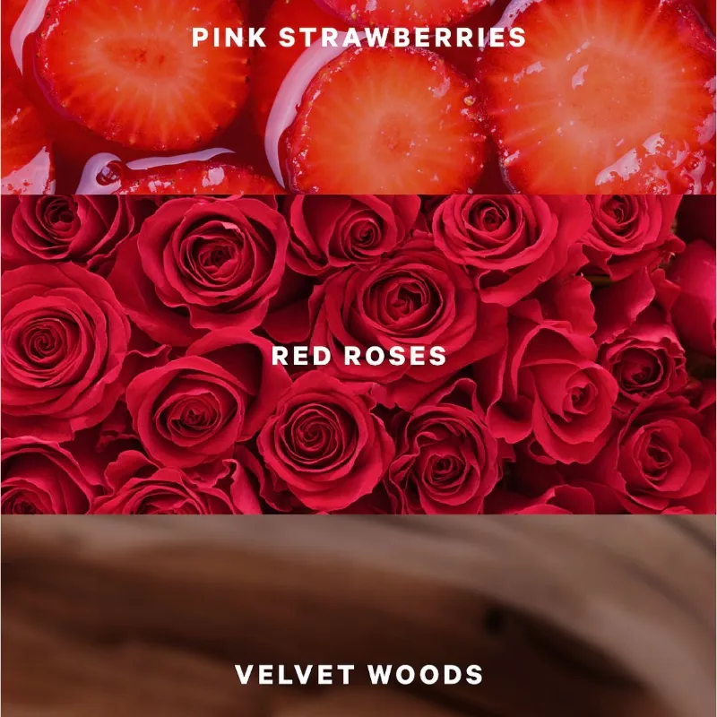 Victoria’s Secret Lovely Berry Rose Lotion