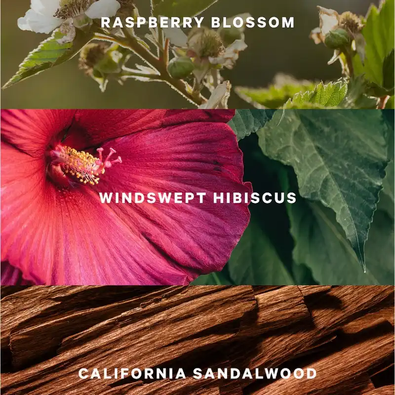 Victoria’s Secret Serene Blooms Colonia