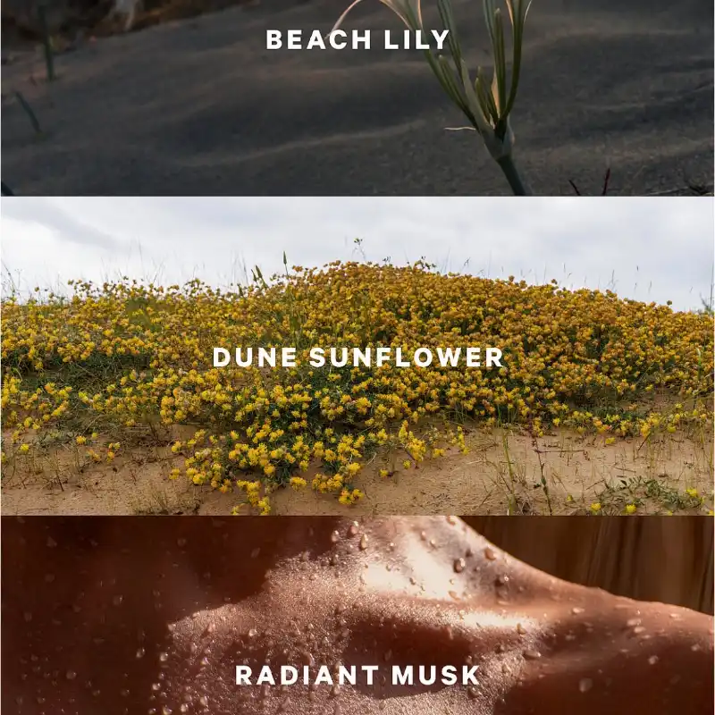 Victoria’s Secret Sundrenched Blooms Colonia