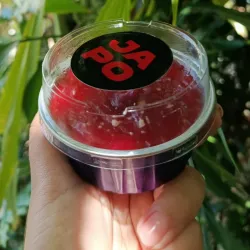 Flan de frambuesa