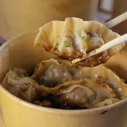 Gyozas de Cerdo