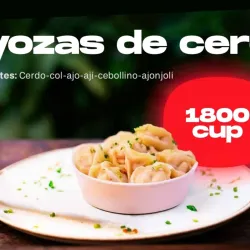 Gyozas de Cerdo