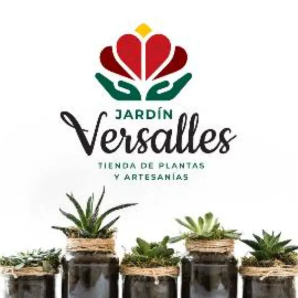 Tienda de plantas ornamentales y artesanías donde encontrarás todo lo que necesitas para tu hogar y Jardín 🌵