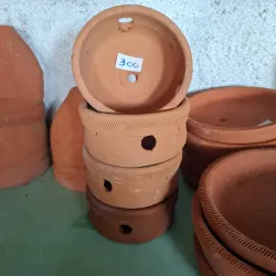 Maceta para sembrar orquídeas 