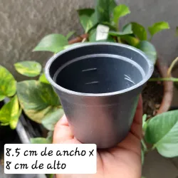 Maceta Plástica