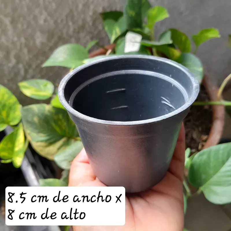 Maceta Plástica