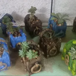 Macetas decoradas con plantas