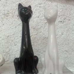 Pareja de gatos