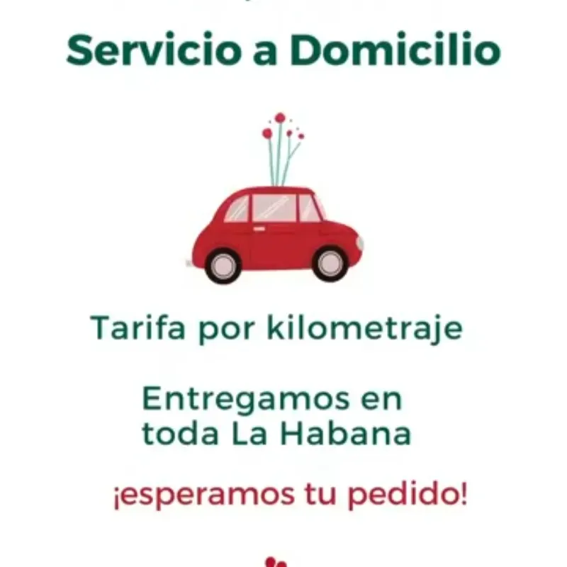 Servicio a domicilio 