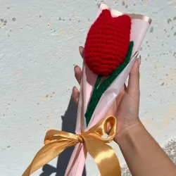 Ramo de un tulipán grande