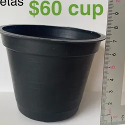 Macetas