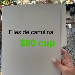 Files de cartulina 