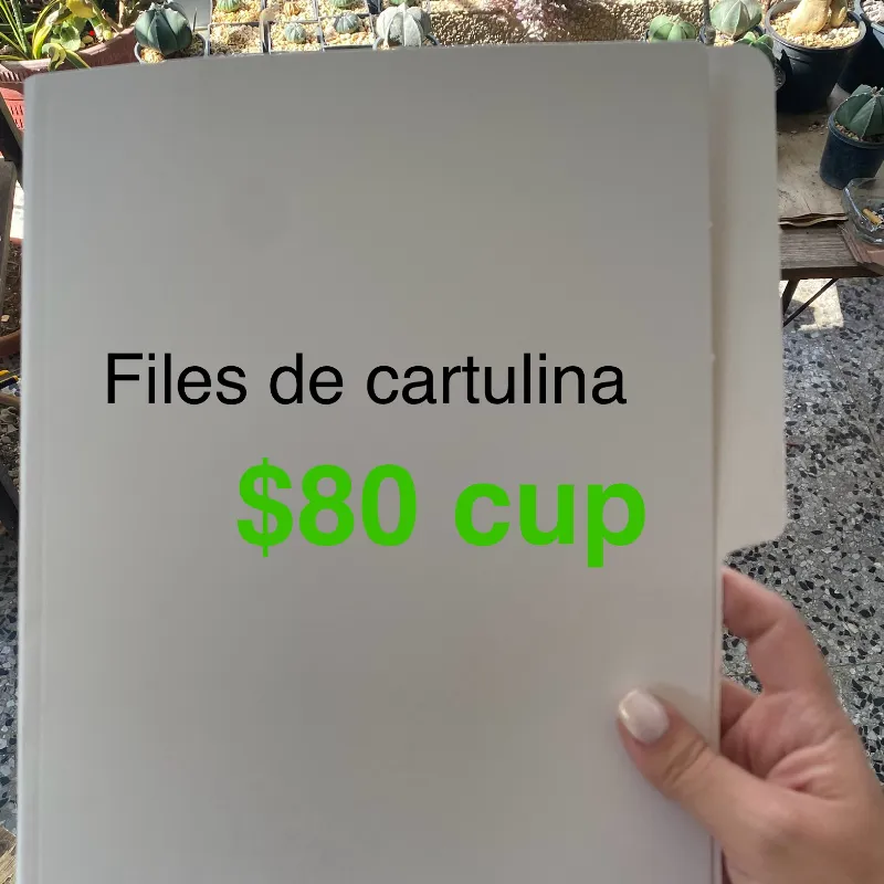 Files de cartulina 