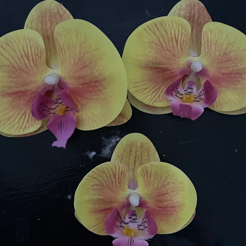 Clip de Orquídea amarilla