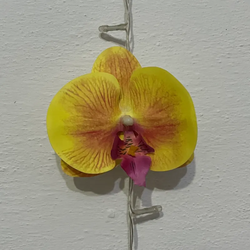 Clip de Orquídea amarilla
