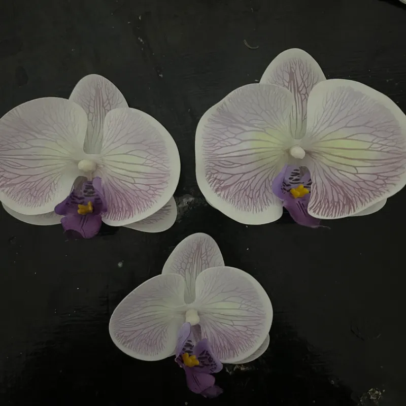 Clip de Orquídea Blanco