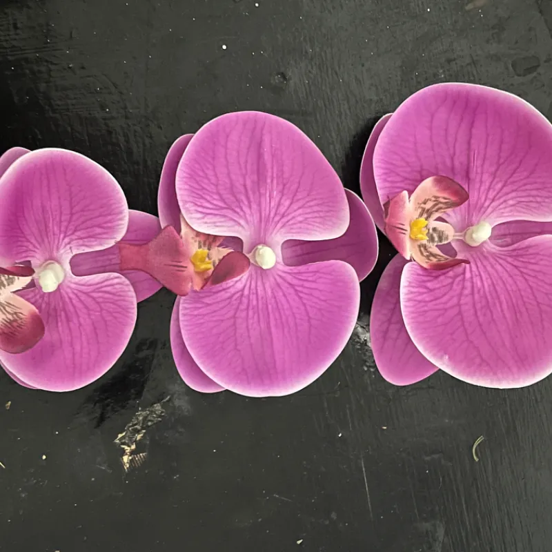 Clip de Orquídea morada