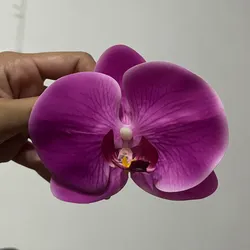 Clip de Orquídea morada