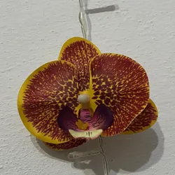 Clip de Orquídea terracota
