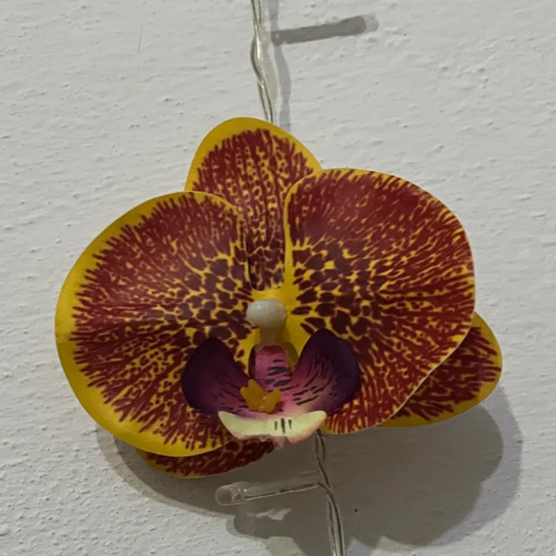 Clip de Orquídea terracota