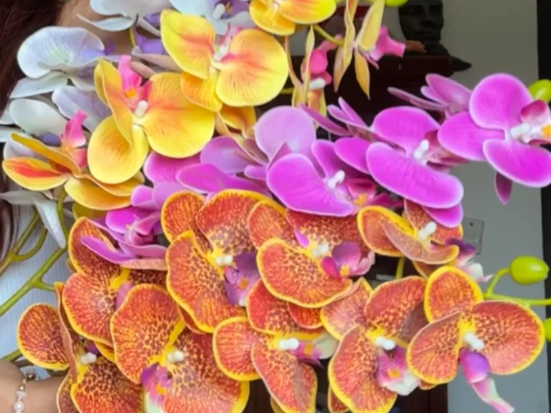 Clips de Orquídea