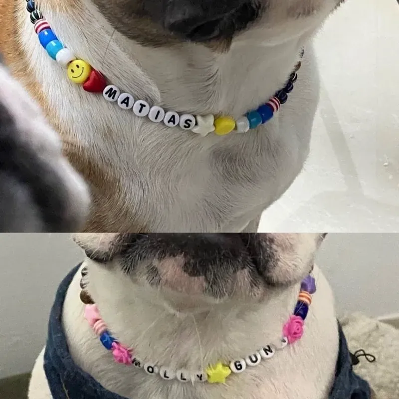 Collar para mascotas 🐶💖