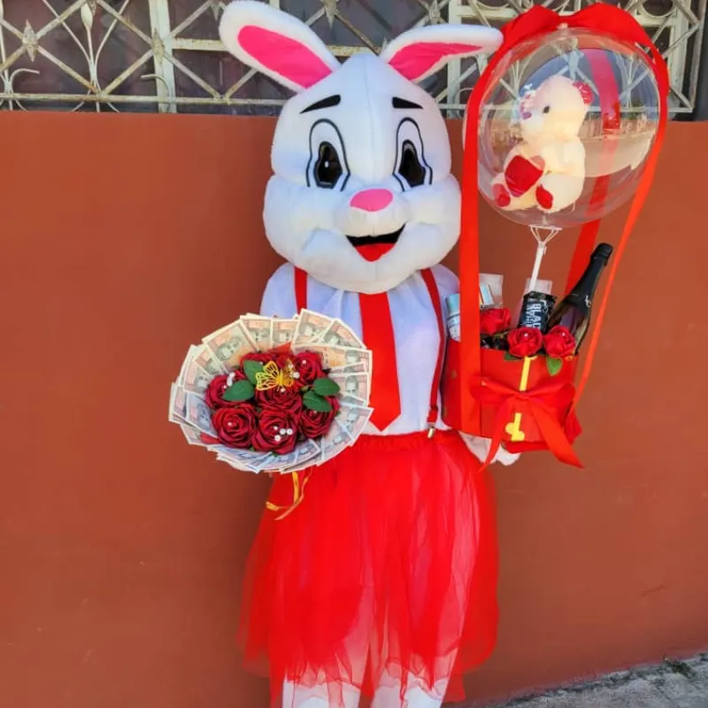 ✨Conejita Sorpresa✨