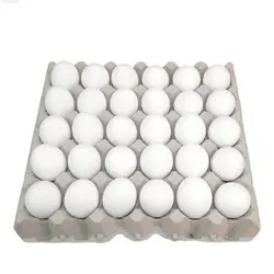 Huevos