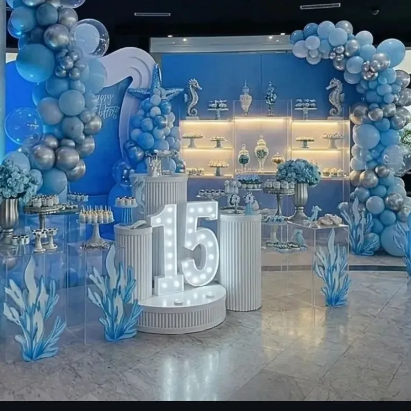 Fiesta de 15 completa