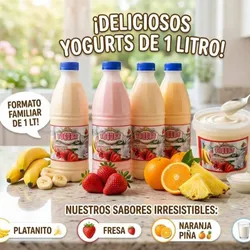 Yogurt natural de sabores ( probióticos)