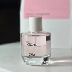Orchid by Zara