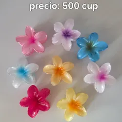 Pellizcos grandes.🌸