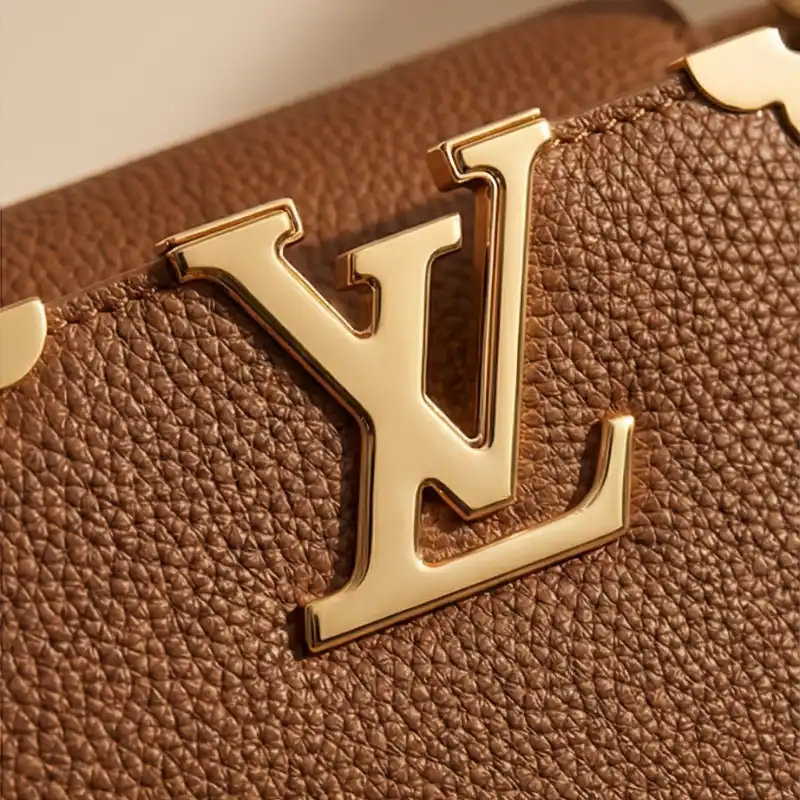 👜 CARTERA LOUIS VUITTON – MARRÓN