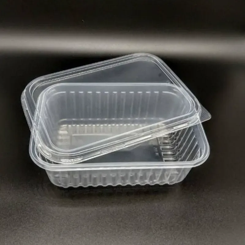 TERMOPACK RECTANGULAR 1000ML