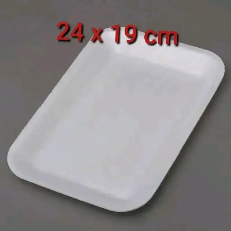 BANDEJA 24X19 