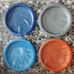 Plato 17.2cm
