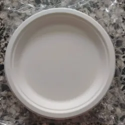 Plato Biodegradable 17.6cm
