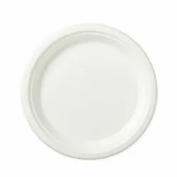 Plato plastico  22cm 