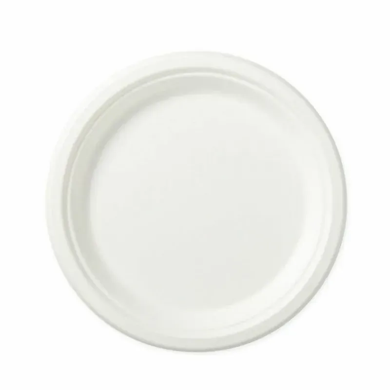 Plato plastico  22cm 