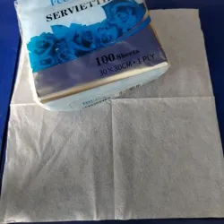 Servilletas Feel Fresh