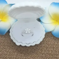 Anillo sencillo 