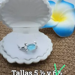 Anillo sencillo 