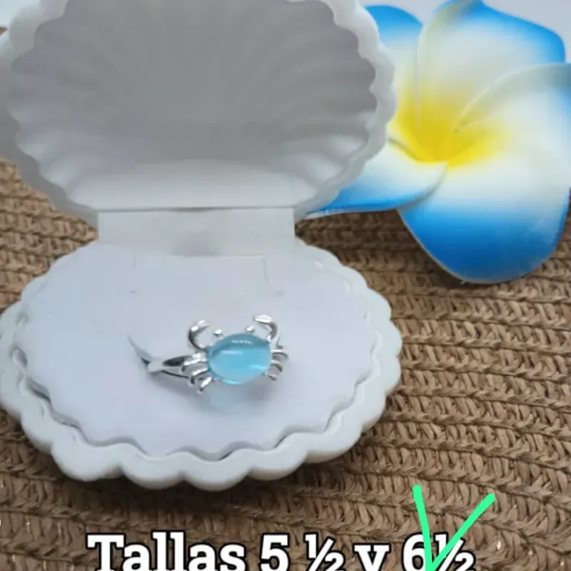 Anillo sencillo 