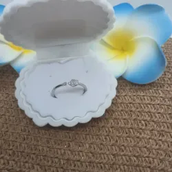 Anillo sencillo 