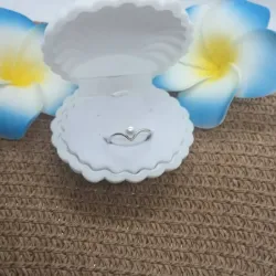 Anillo sencillo 