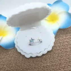 Anillo sencillo 